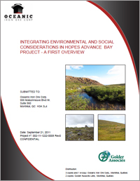 Micon technical report